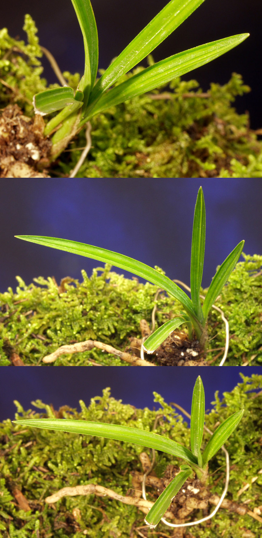 ������ ū������ �� �� �ֽ��ϴ�.