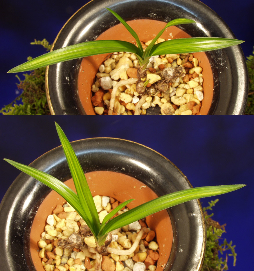 ������ ū������ �� �� �ֽ��ϴ�.