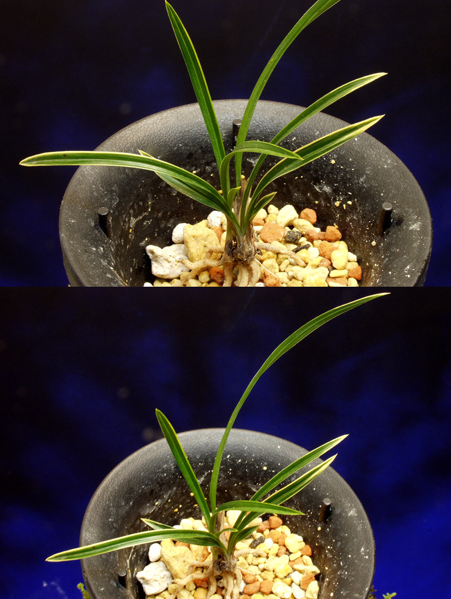 ������ ū������ �� �� �ֽ��ϴ�.