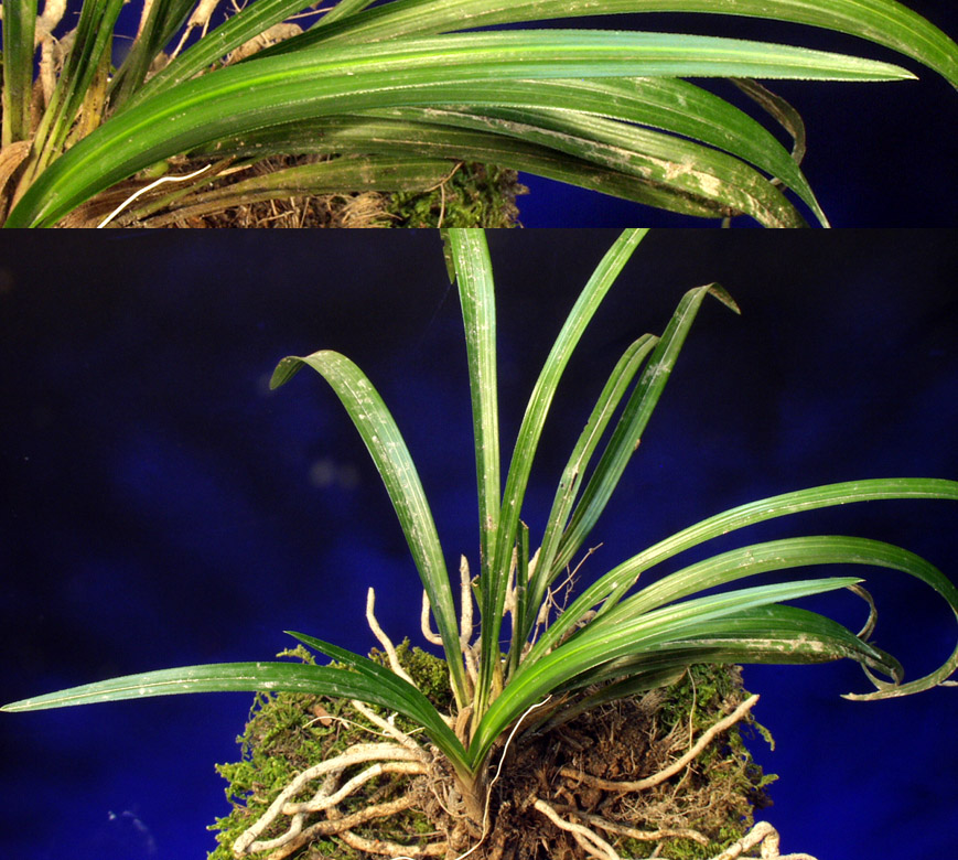 ������ ū������ �� �� �ֽ��ϴ�.