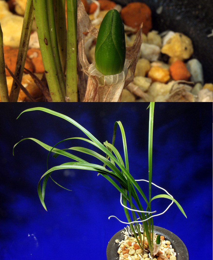 ������ ū������ �� �� �ֽ��ϴ�.