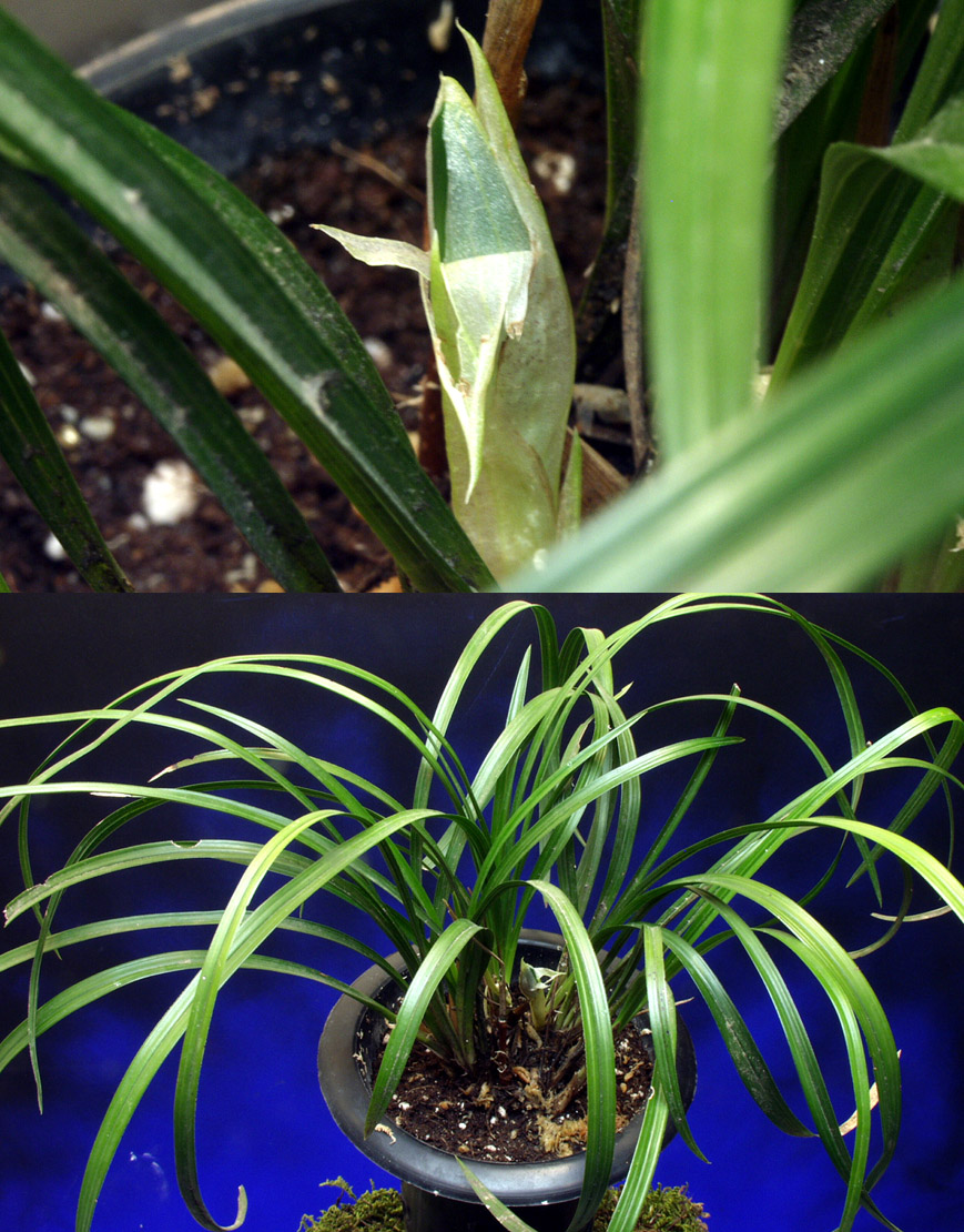 ������ ū������ �� �� �ֽ��ϴ�.