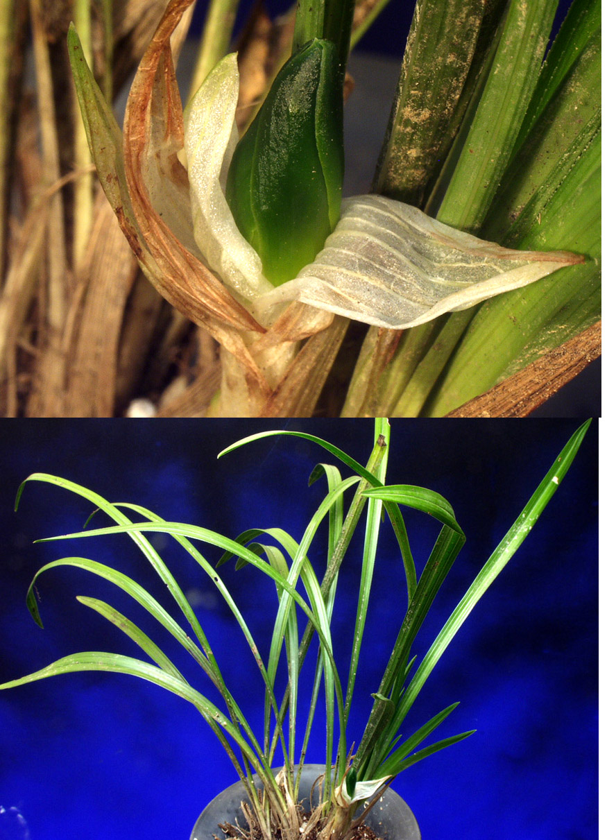 ������ ū������ �� �� �ֽ��ϴ�.