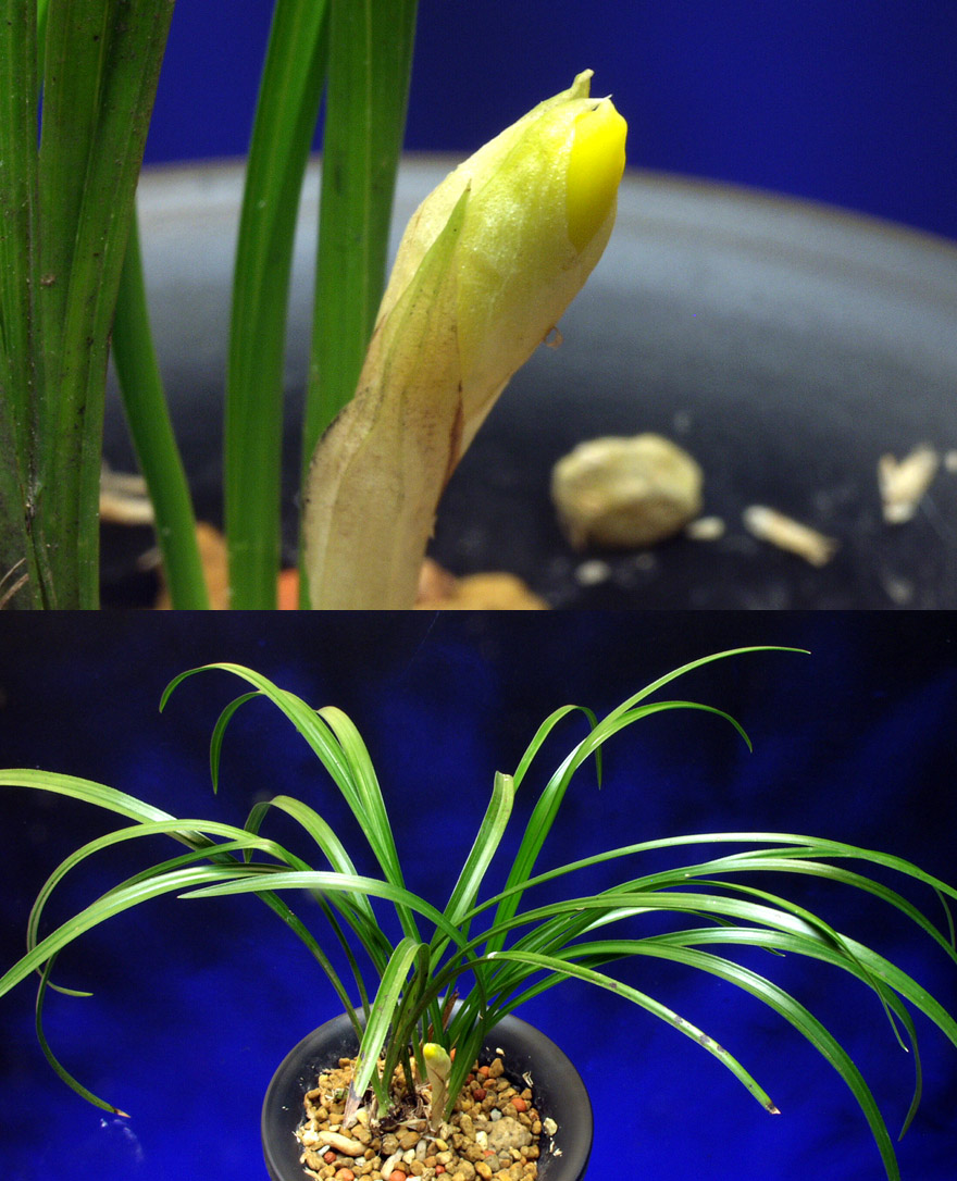 ������ ū������ �� �� �ֽ��ϴ�.