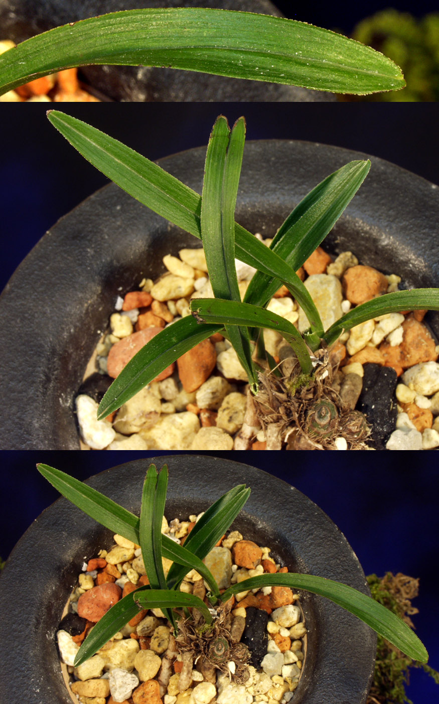 ������ ū������ �� �� �ֽ��ϴ�.