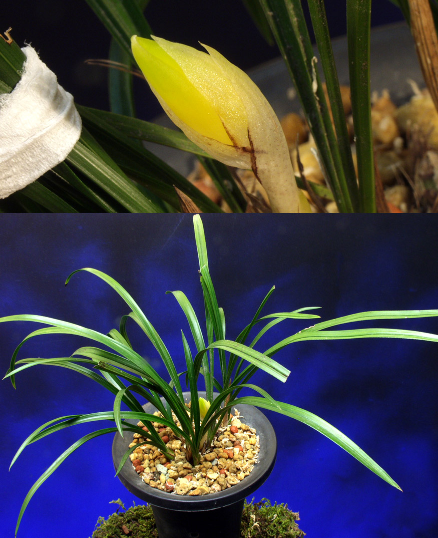 ������ ū������ �� �� �ֽ��ϴ�.