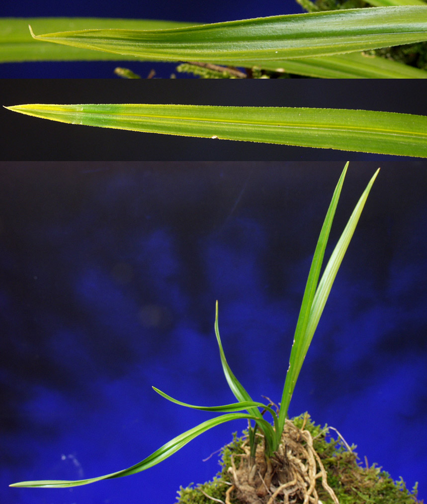 ������ ū������ �� �� �ֽ��ϴ�.