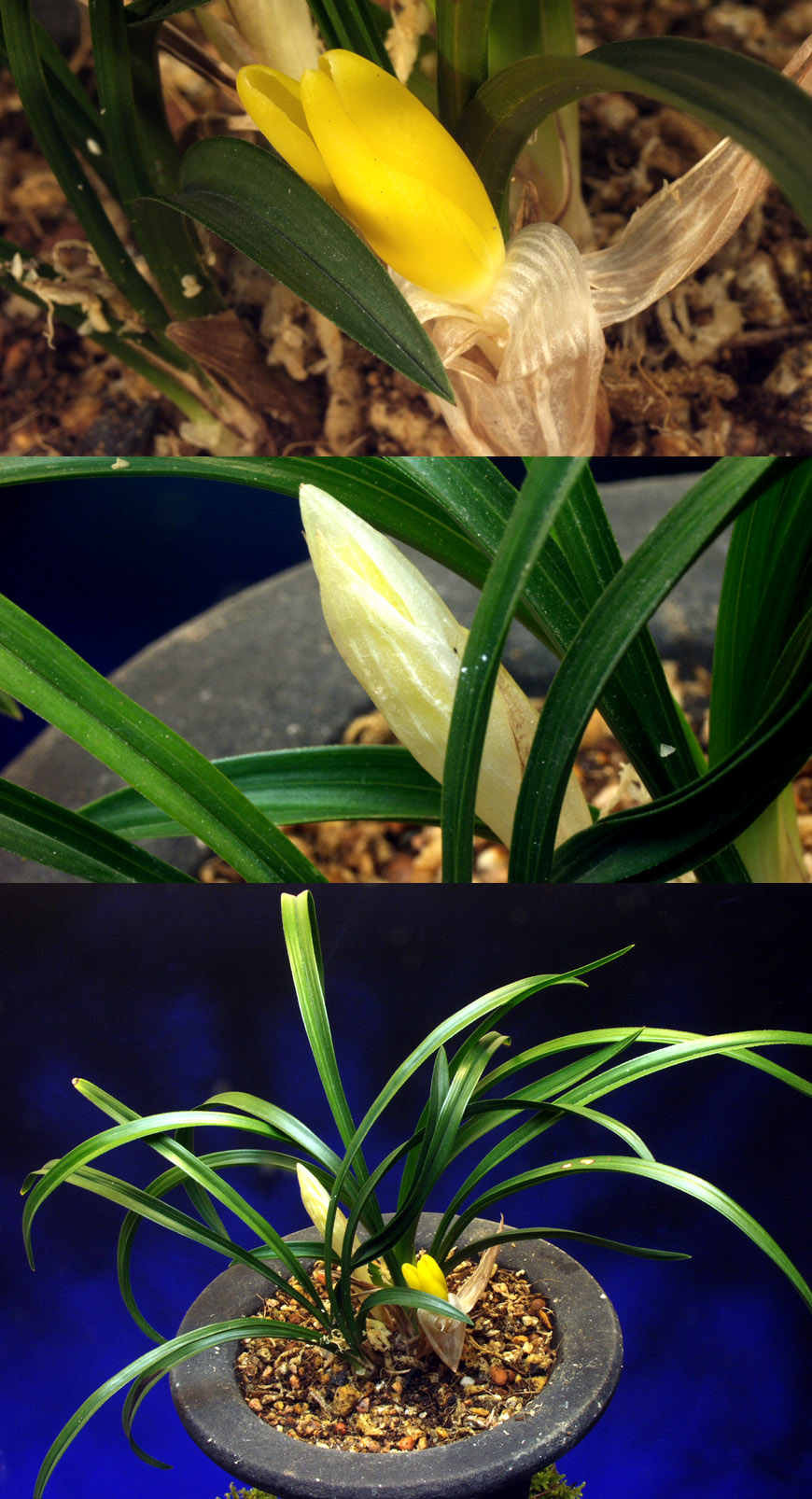 ������ ū������ �� �� �ֽ��ϴ�.