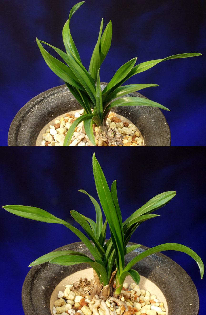 ������ ū������ �� �� �ֽ��ϴ�.