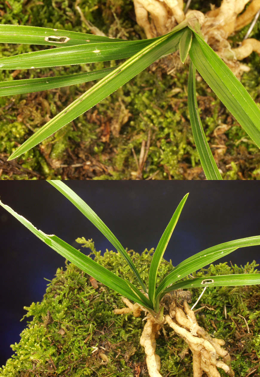 ������ ū������ �� �� �ֽ��ϴ�.