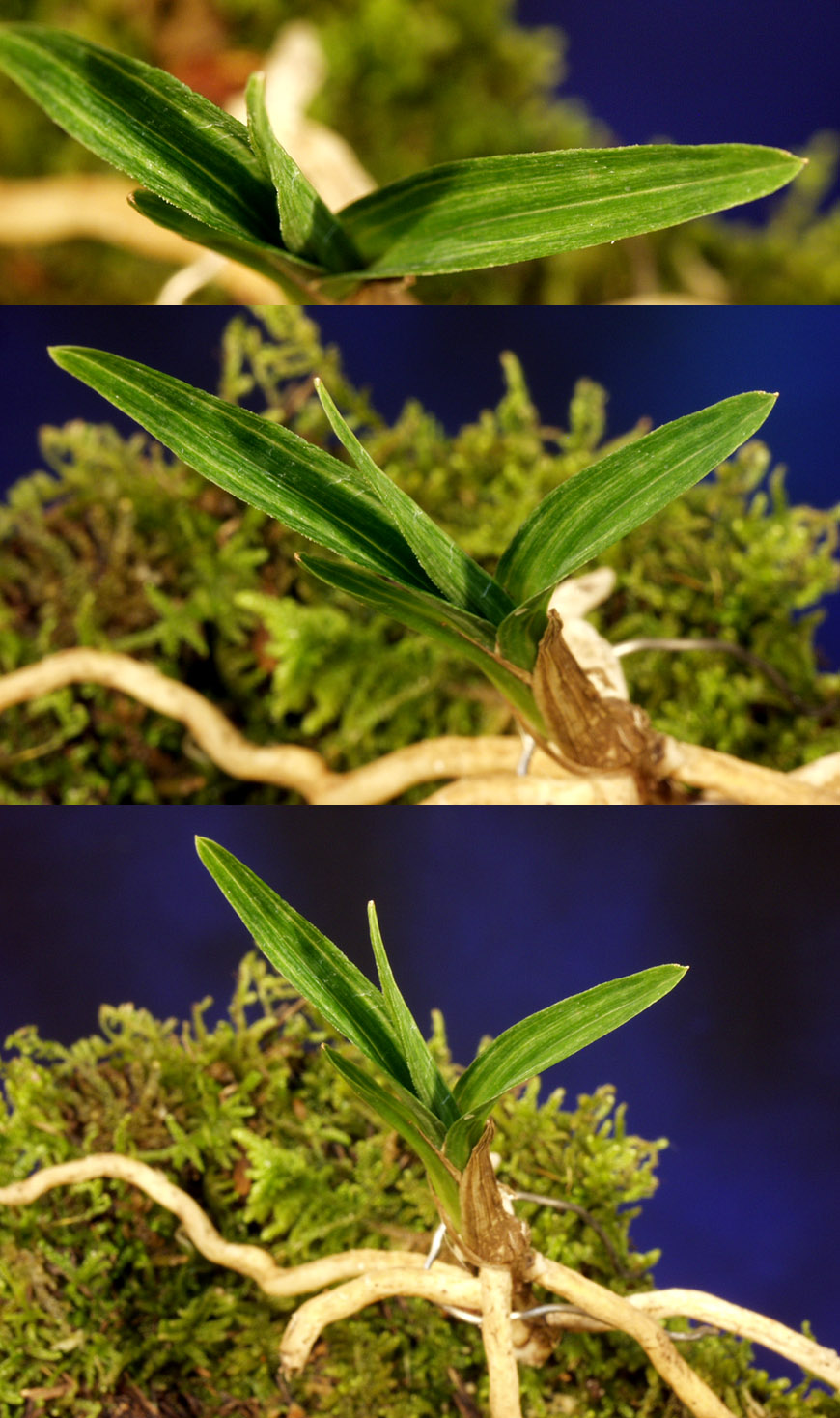 ������ ū������ �� �� �ֽ��ϴ�.