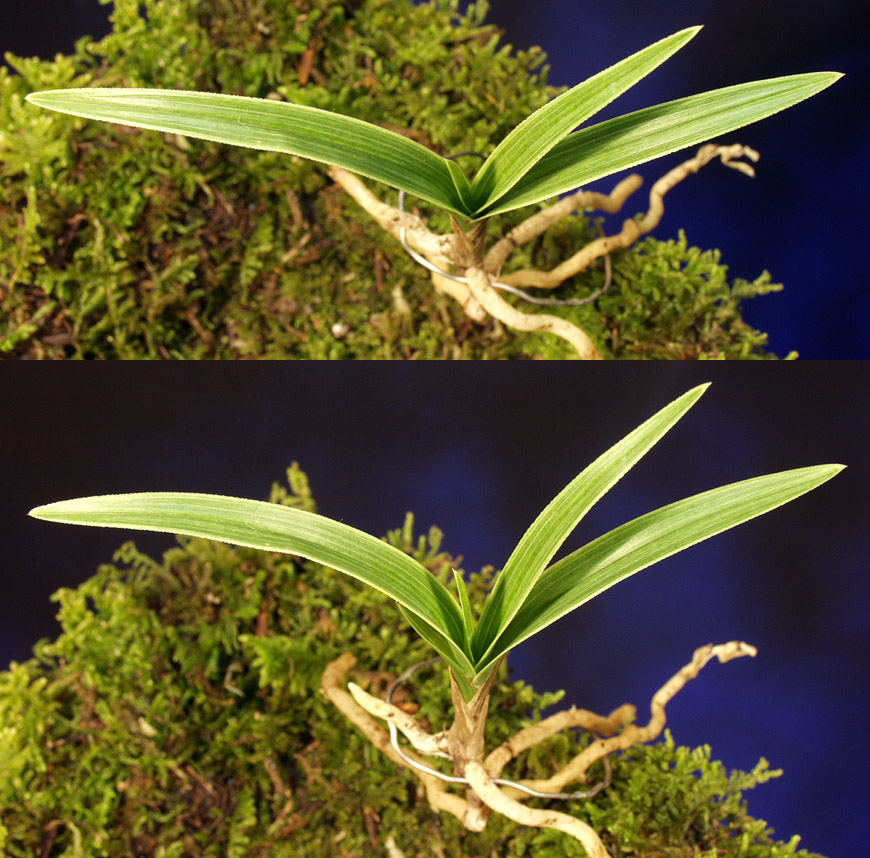 ������ ū������ �� �� �ֽ��ϴ�.