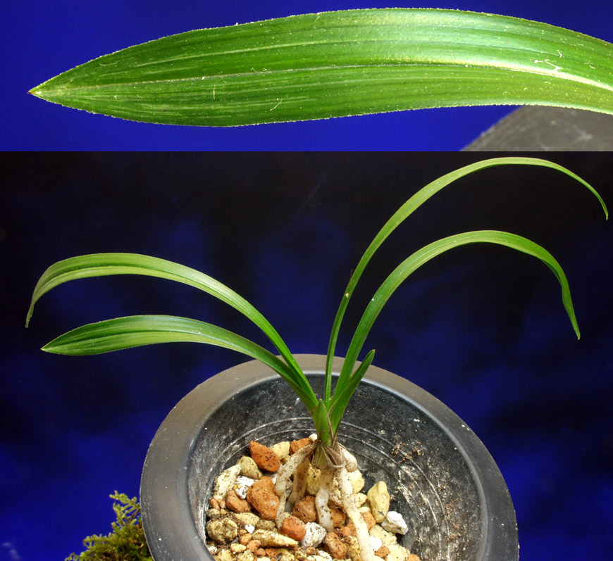 ������ ū������ �� �� �ֽ��ϴ�.