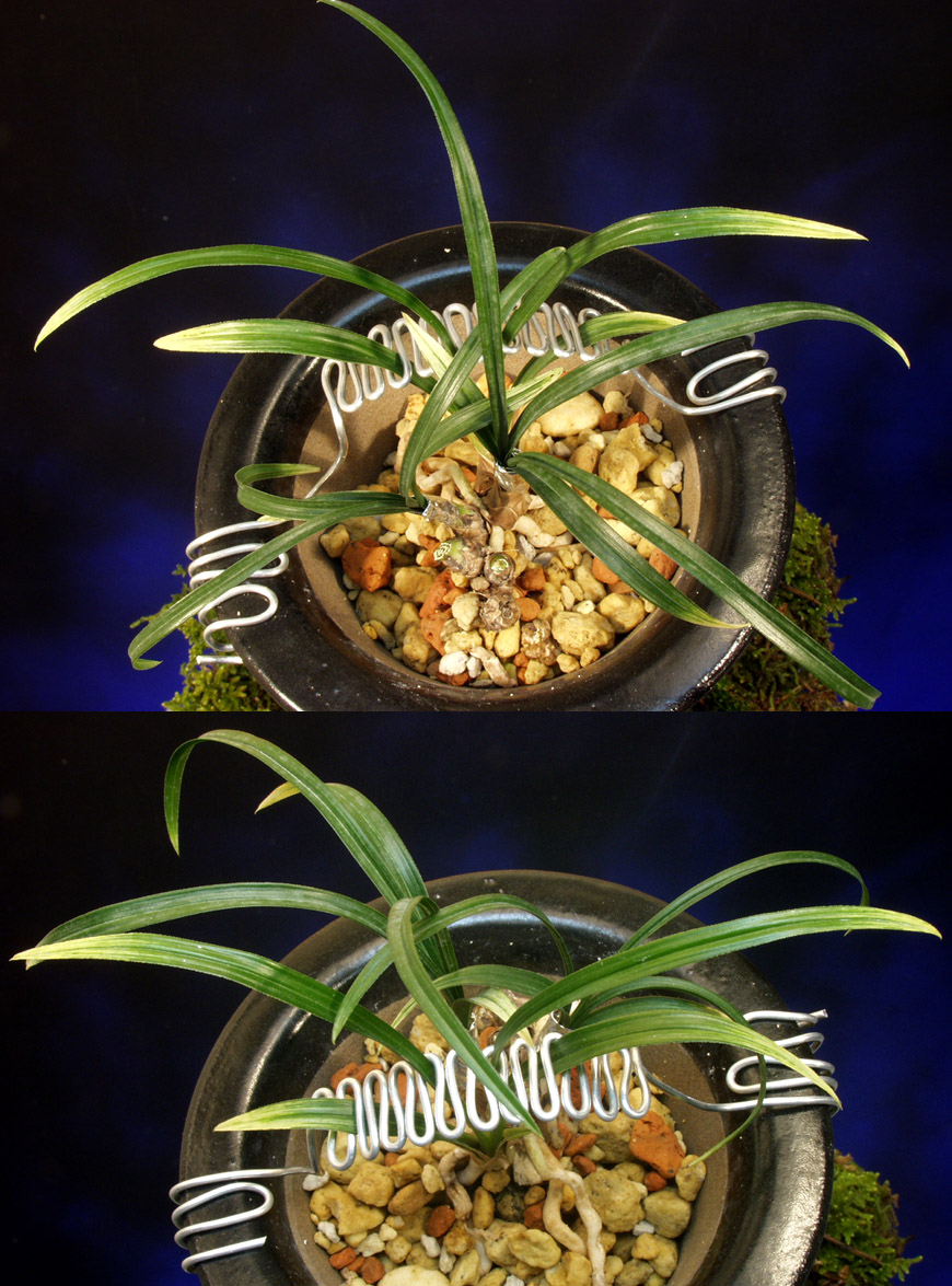 ������ ū������ �� �� �ֽ��ϴ�.