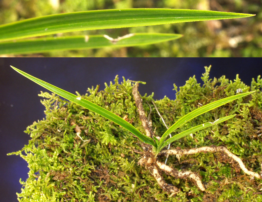 ������ ū������ �� �� �ֽ��ϴ�.