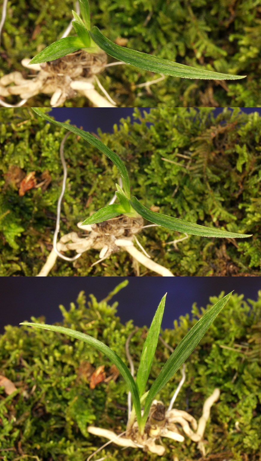 ������ ū������ �� �� �ֽ��ϴ�.