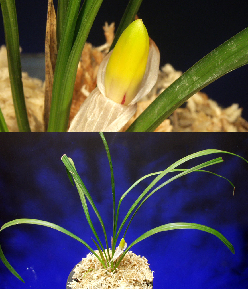 ������ ū������ �� �� �ֽ��ϴ�.