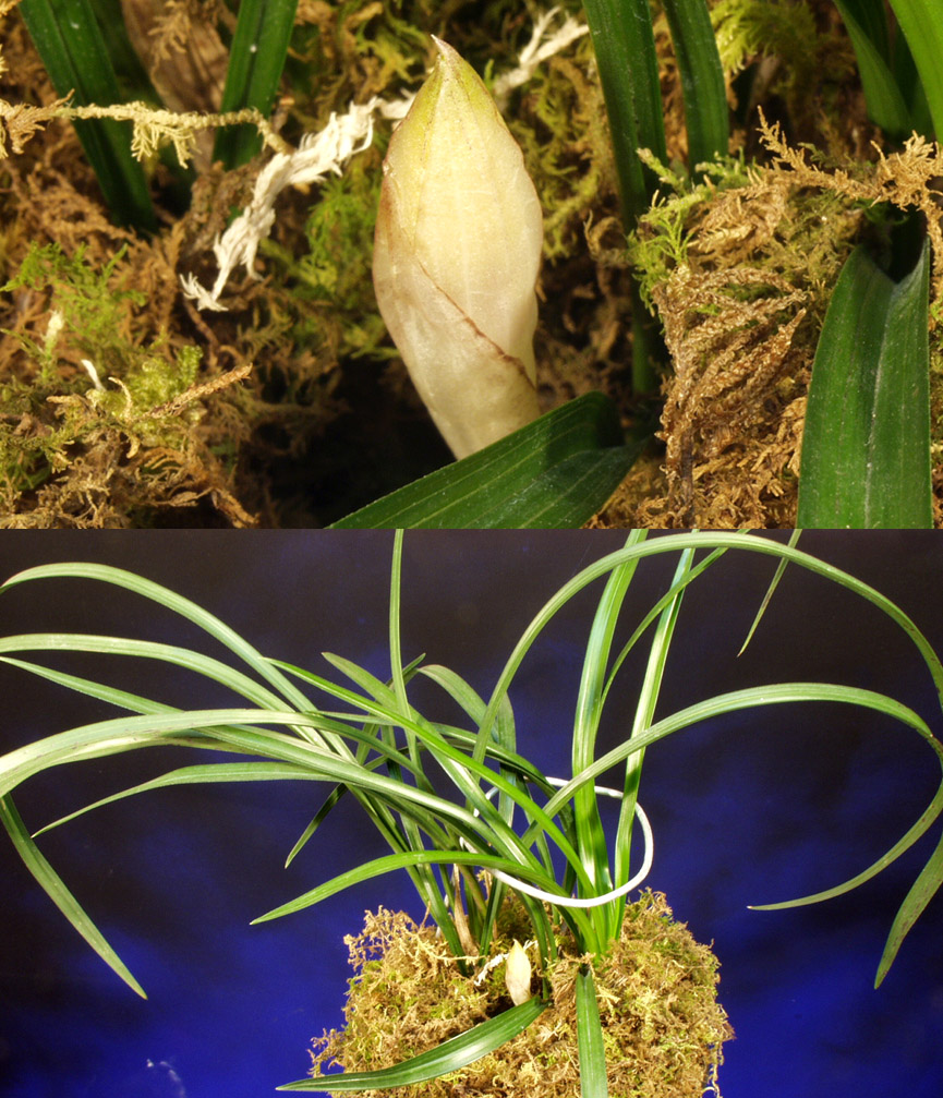 ������ ū������ �� �� �ֽ��ϴ�.