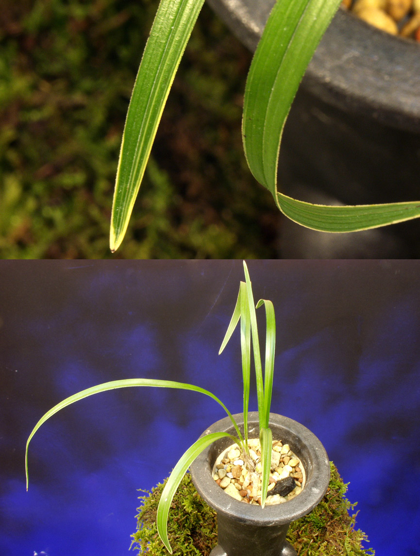 ������ ū������ �� �� �ֽ��ϴ�.