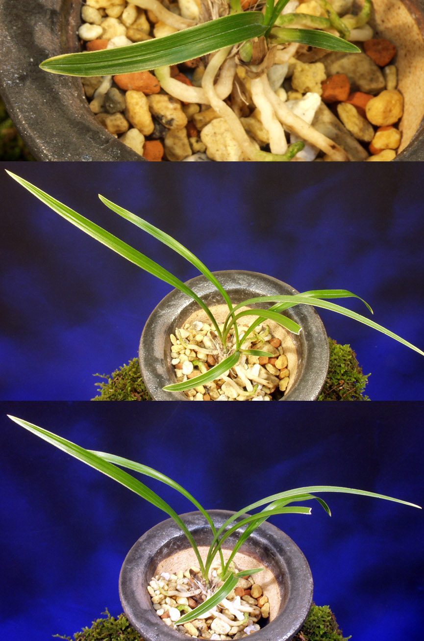 ������ ū������ �� �� �ֽ��ϴ�.