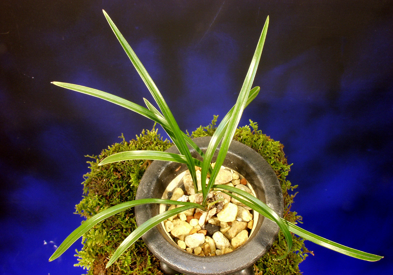 ������ ū������ �� �� �ֽ��ϴ�.