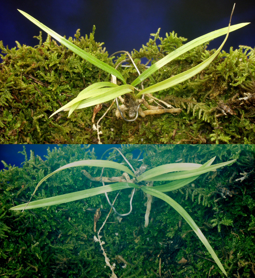 ������ ū������ �� �� �ֽ��ϴ�.