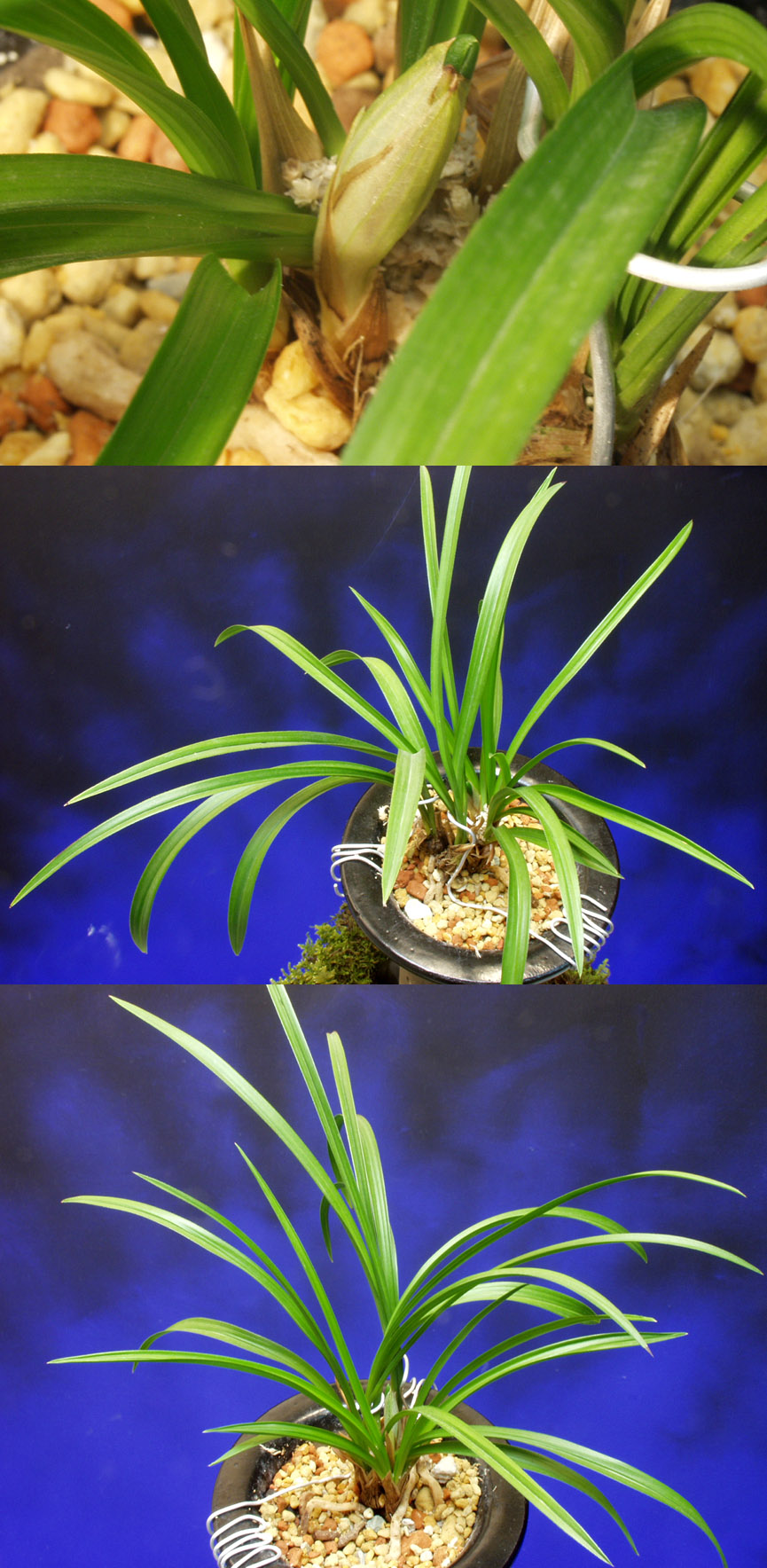 ������ ū������ �� �� �ֽ��ϴ�.