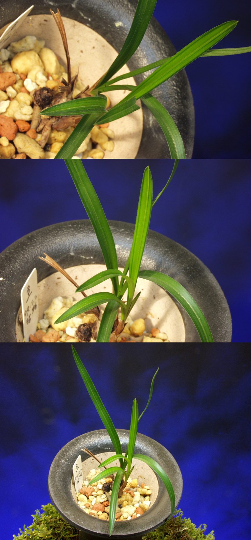 ������ ū������ �� �� �ֽ��ϴ�.