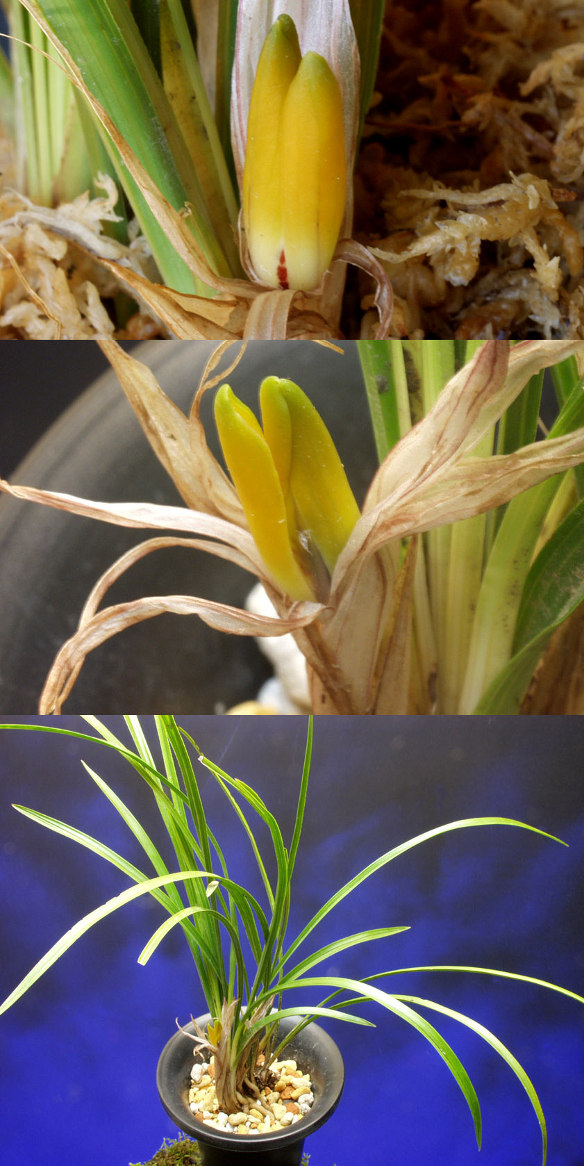 ������ ū������ �� �� �ֽ��ϴ�.