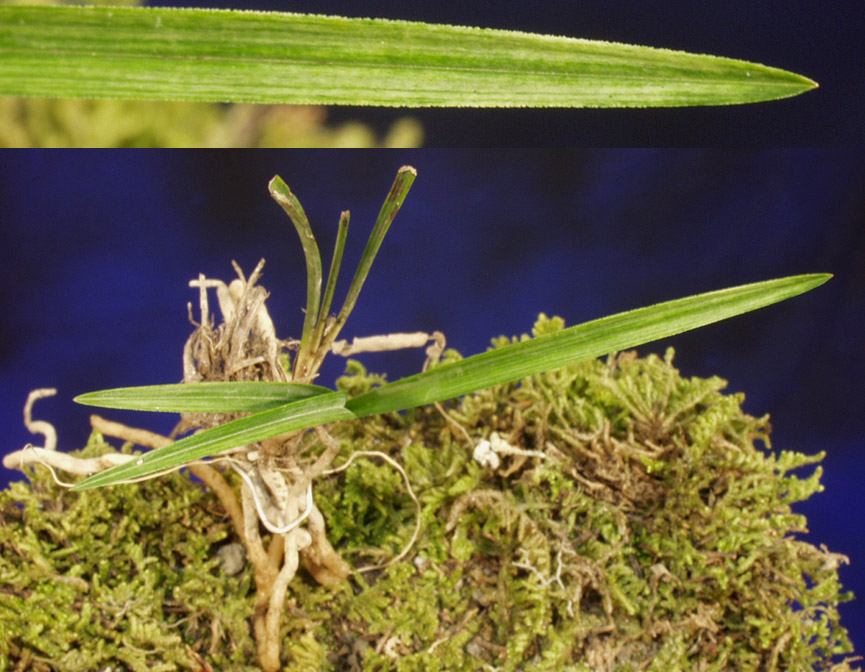 ������ ū������ �� �� �ֽ��ϴ�.