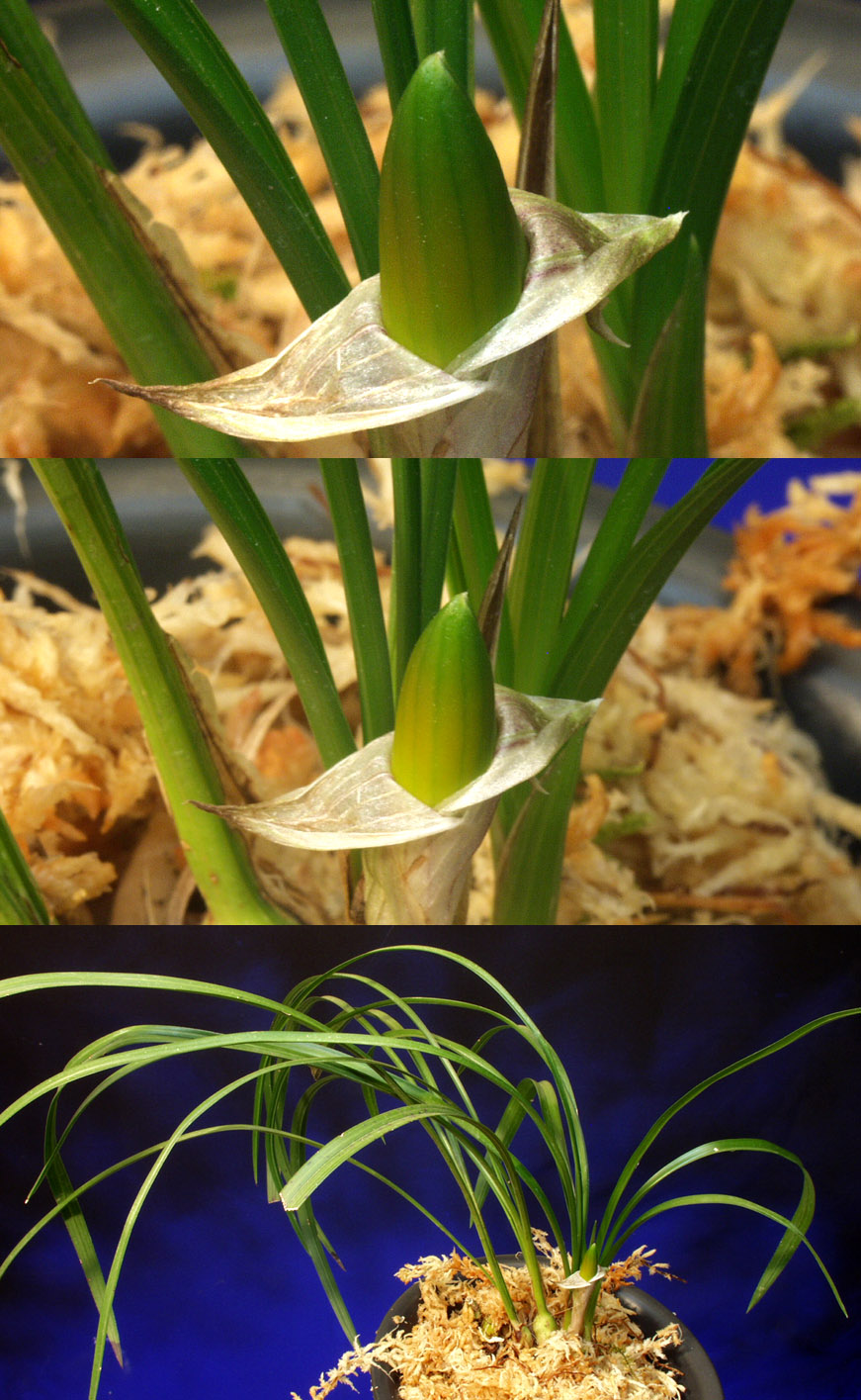 ������ ū������ �� �� �ֽ��ϴ�.