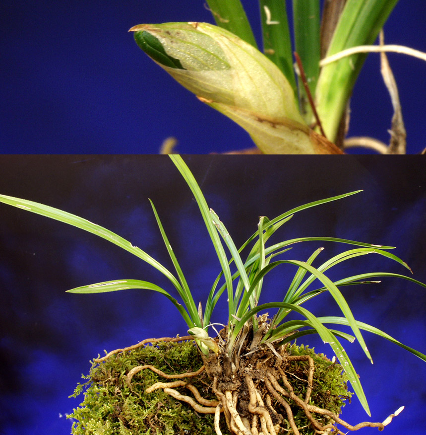 ������ ū������ �� �� �ֽ��ϴ�.