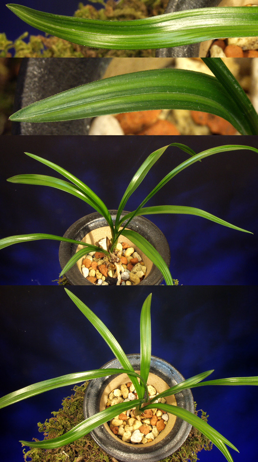 ������ ū������ �� �� �ֽ��ϴ�.