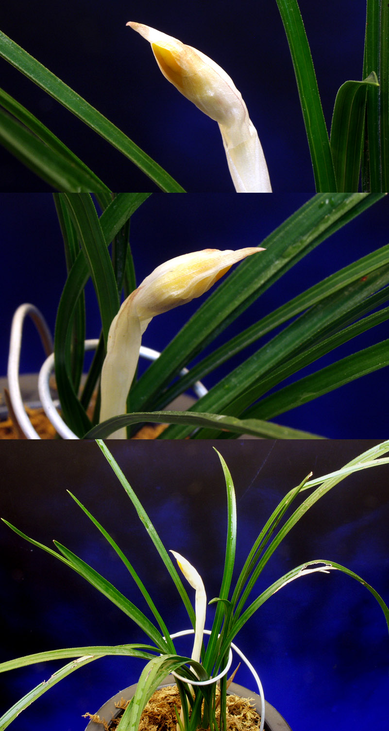 ������ ū������ �� �� �ֽ��ϴ�.