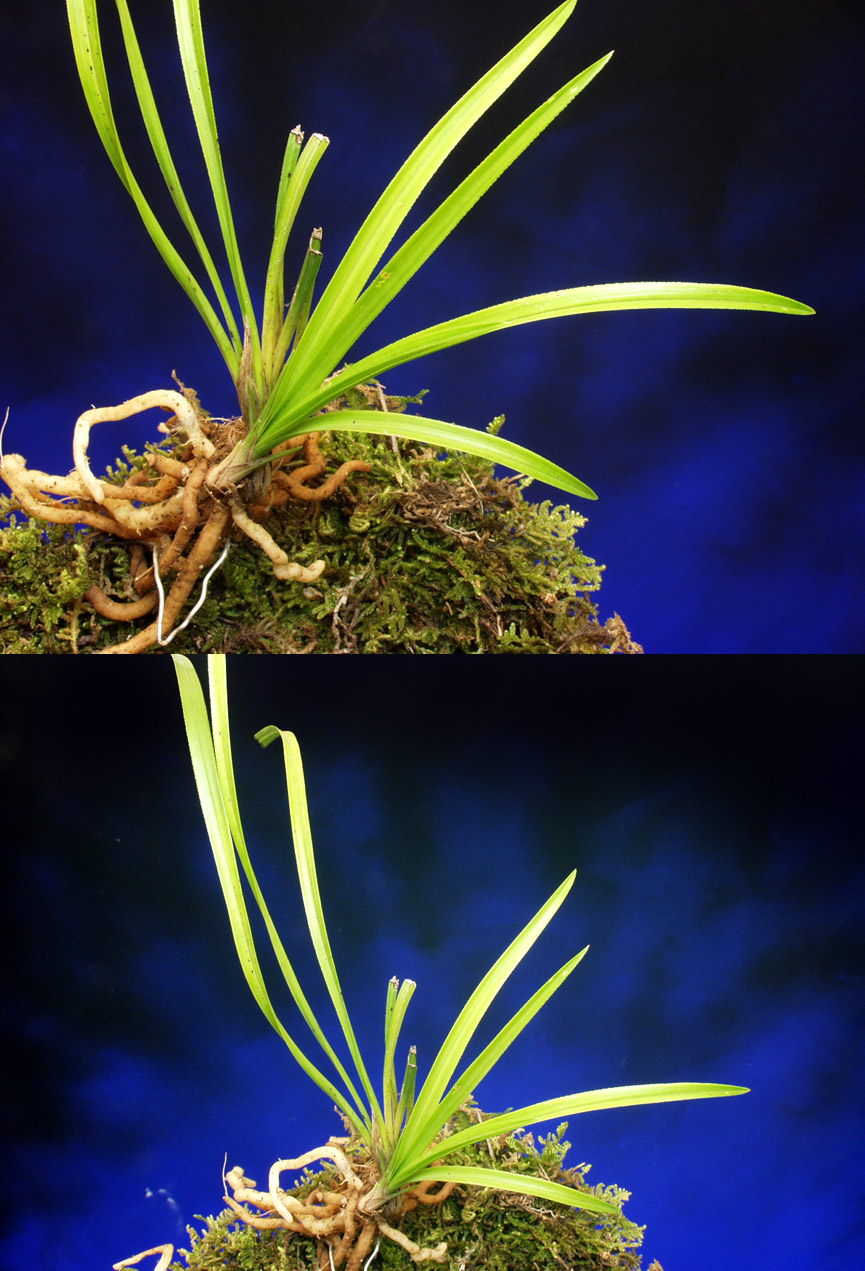 ������ ū������ �� �� �ֽ��ϴ�.