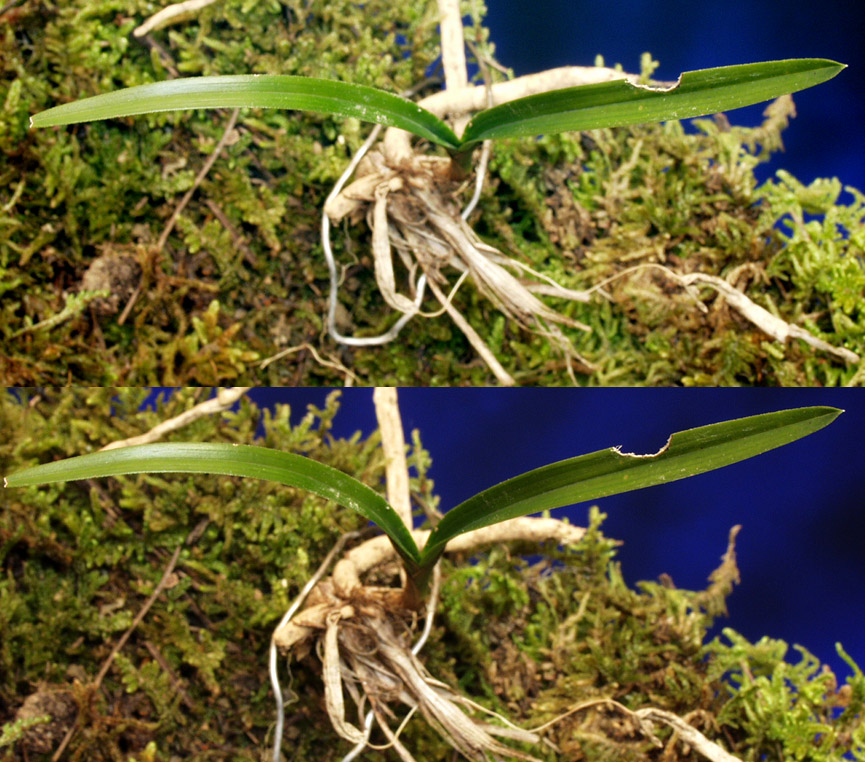 ������ ū������ �� �� �ֽ��ϴ�.