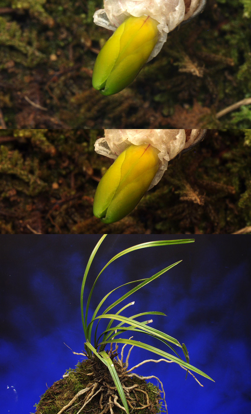 ������ ū������ �� �� �ֽ��ϴ�.