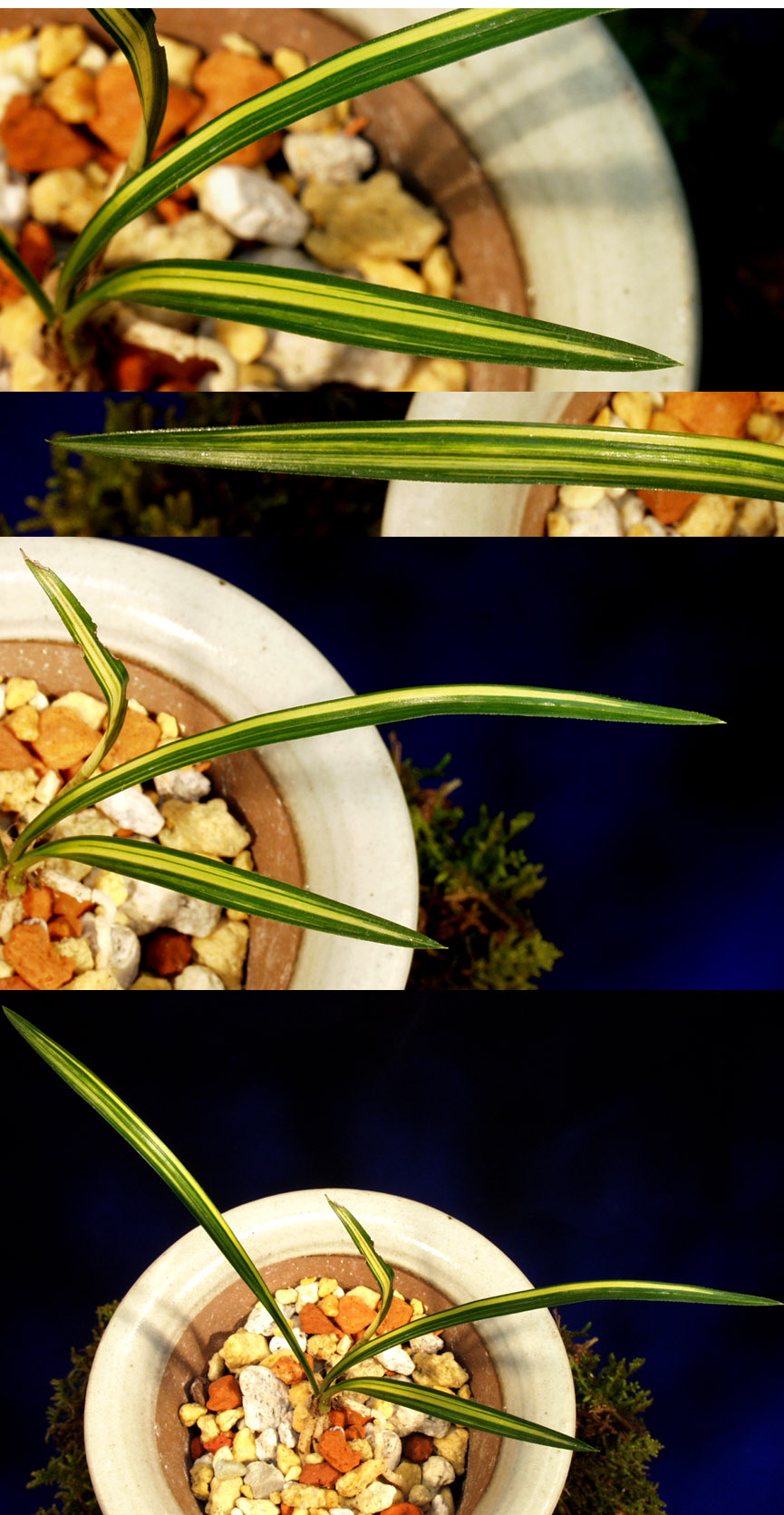 ������ ū������ �� �� �ֽ��ϴ�.