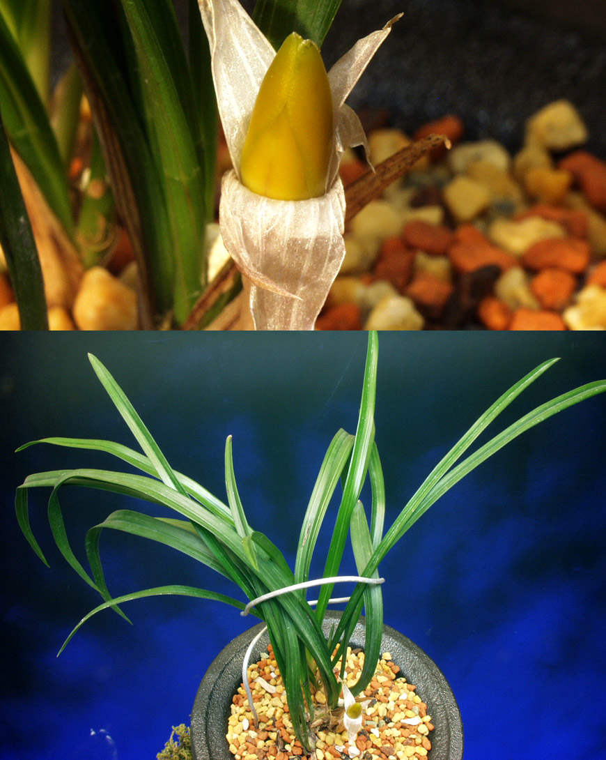 ������ ū������ �� �� �ֽ��ϴ�.