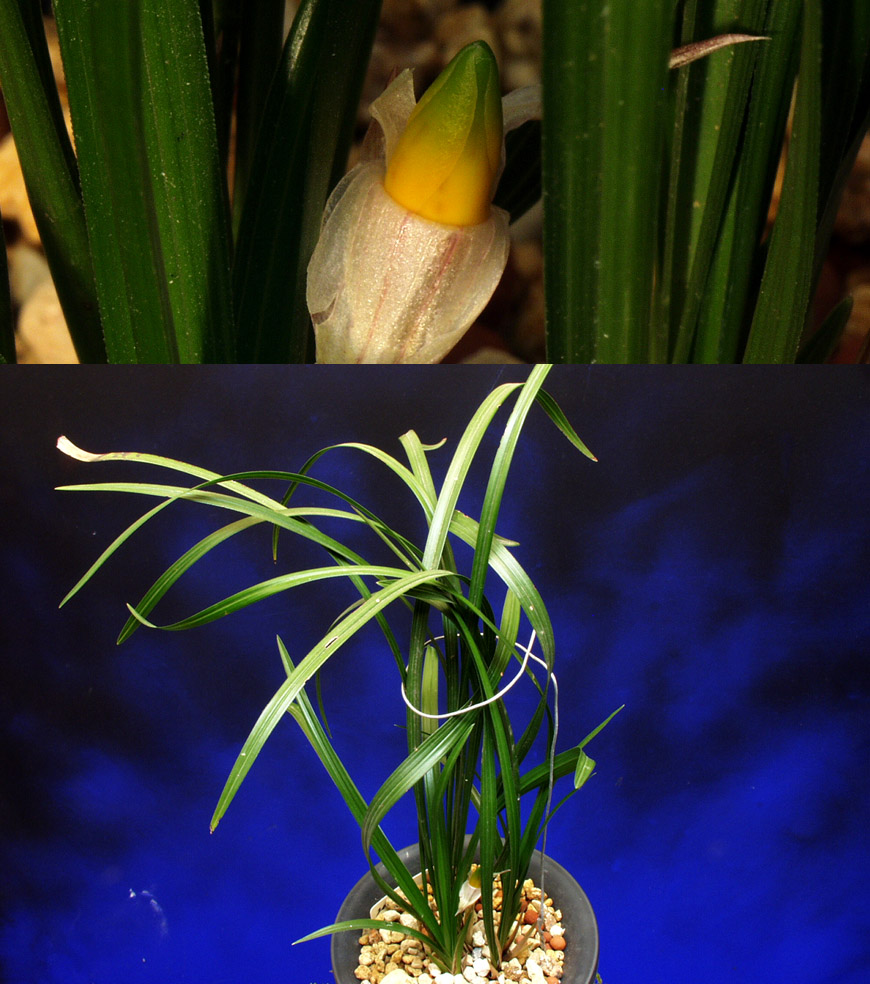 ������ ū������ �� �� �ֽ��ϴ�.