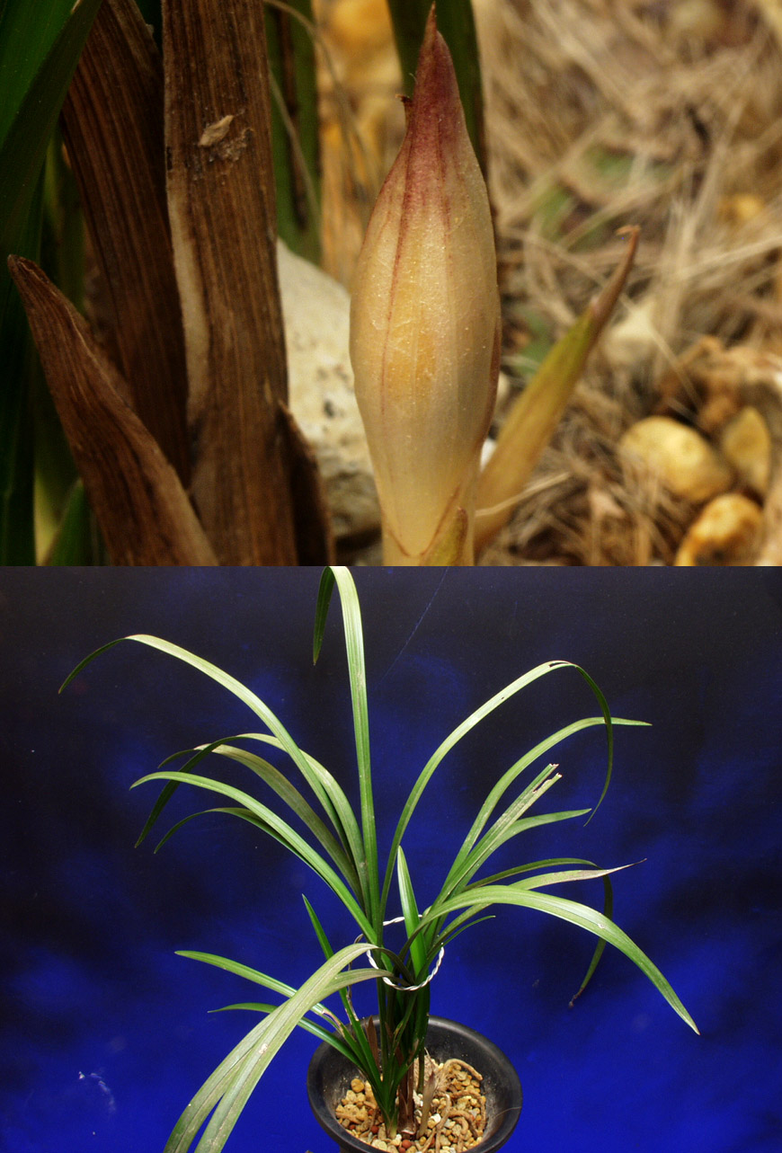 ������ ū������ �� �� �ֽ��ϴ�.