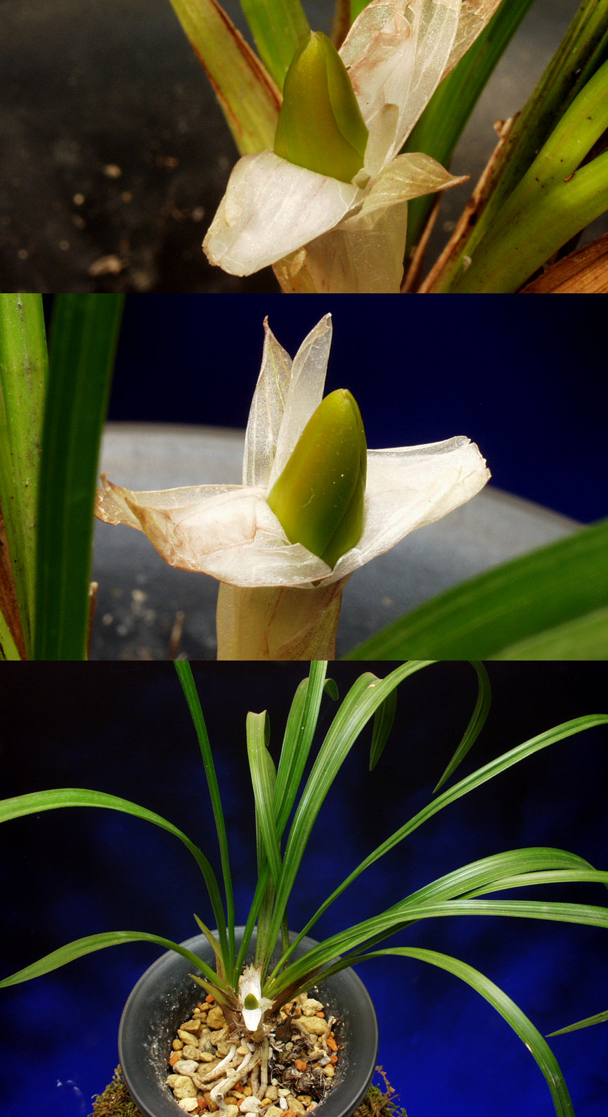 ������ ū������ �� �� �ֽ��ϴ�.