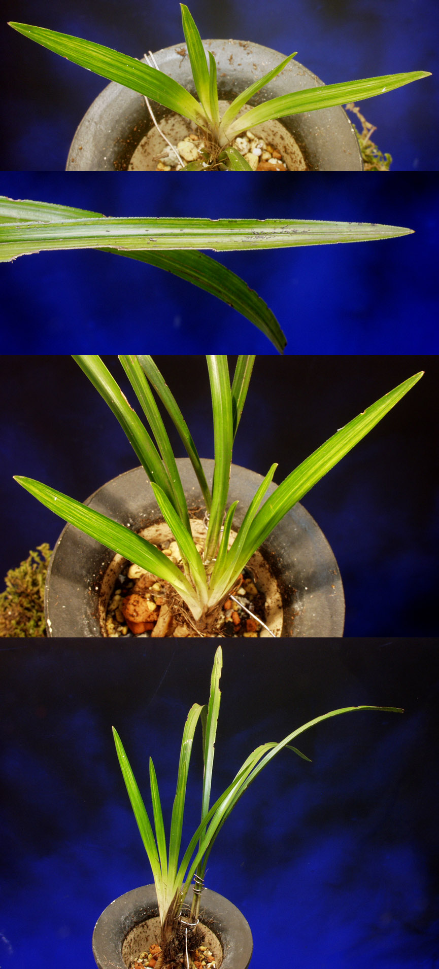 ������ ū������ �� �� �ֽ��ϴ�.