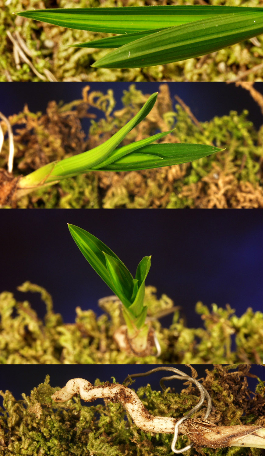 ������ ū������ �� �� �ֽ��ϴ�.