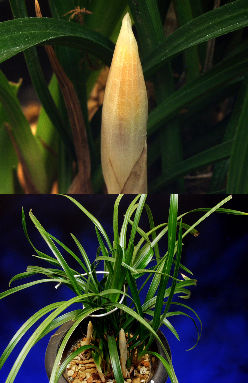 ������ ū������ �� �� �ֽ��ϴ�.