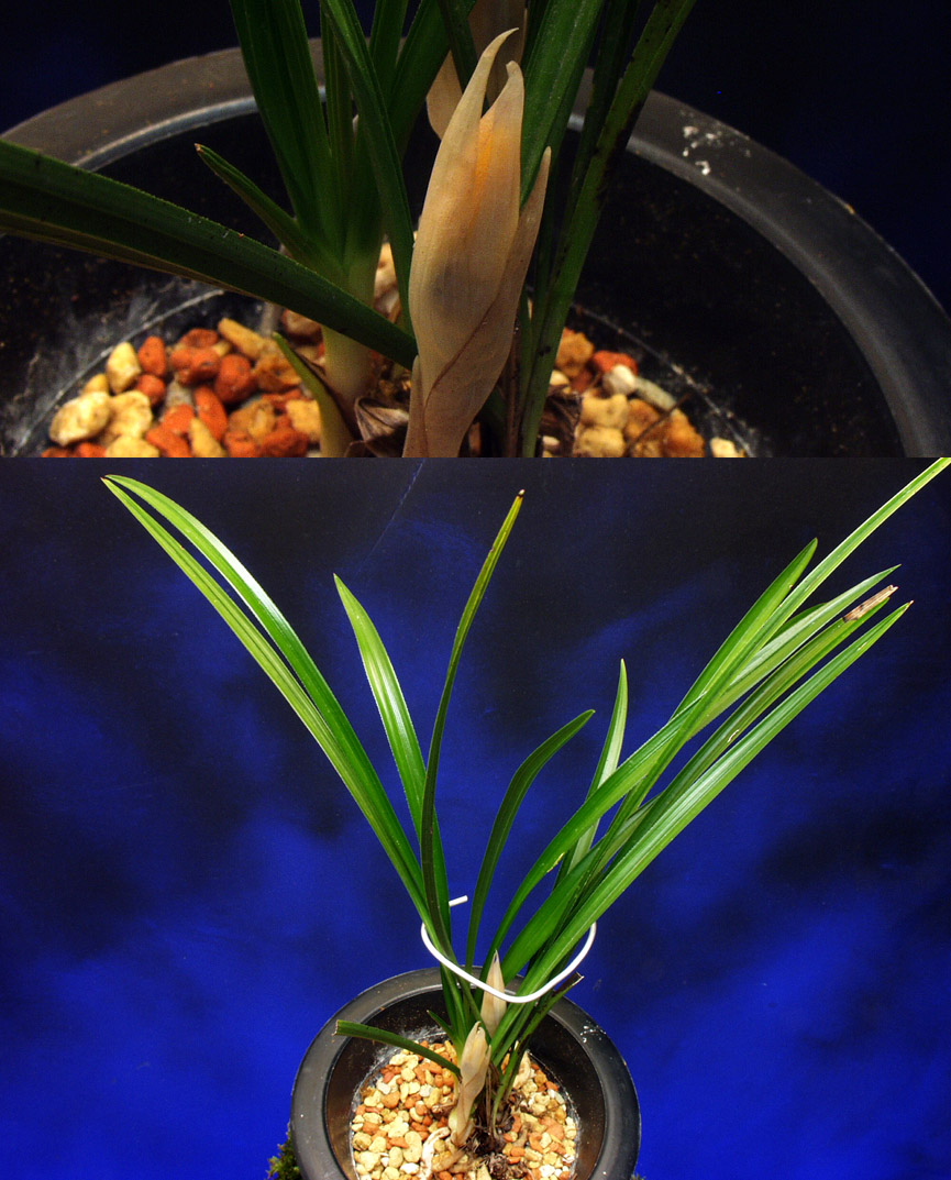 ������ ū������ �� �� �ֽ��ϴ�.