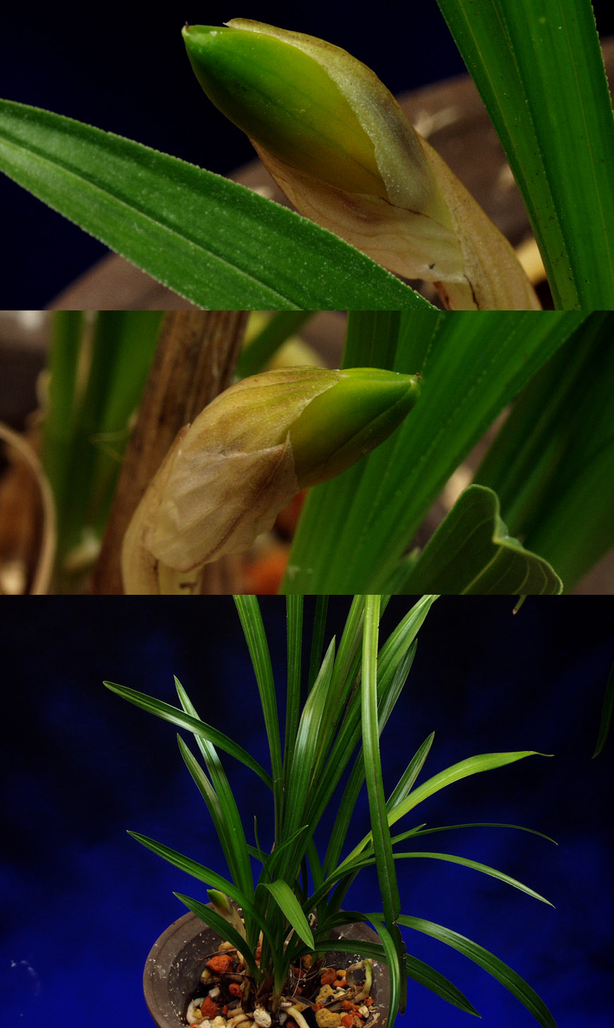 ������ ū������ �� �� �ֽ��ϴ�.