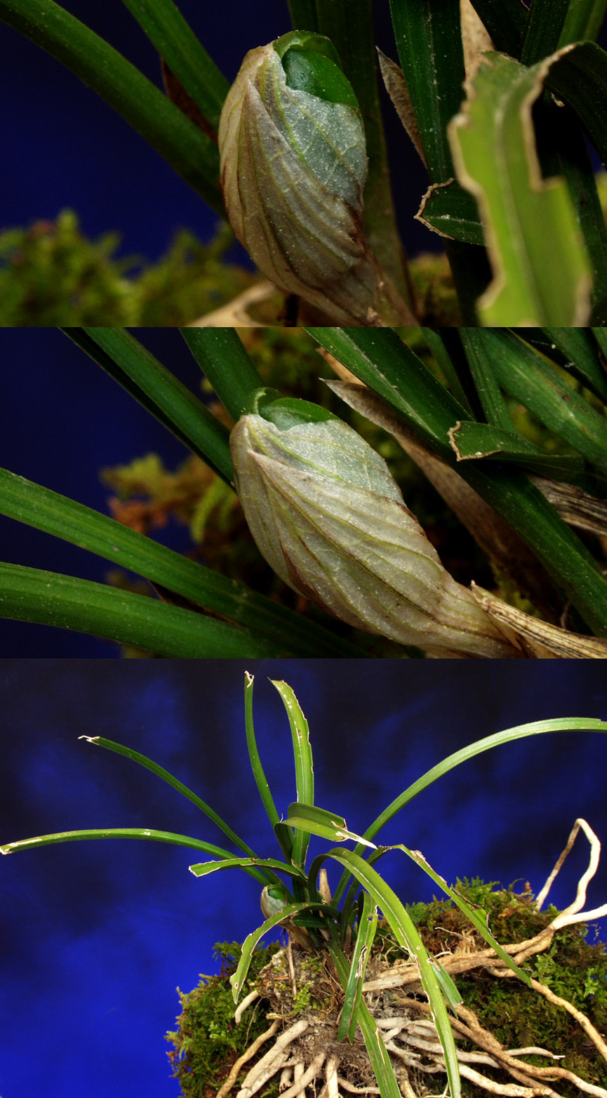 ������ ū������ �� �� �ֽ��ϴ�.