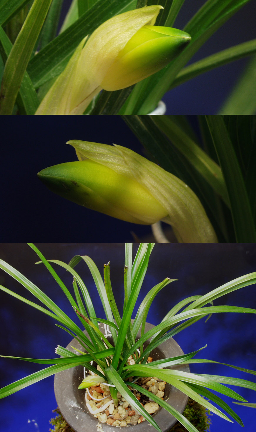 ������ ū������ �� �� �ֽ��ϴ�.