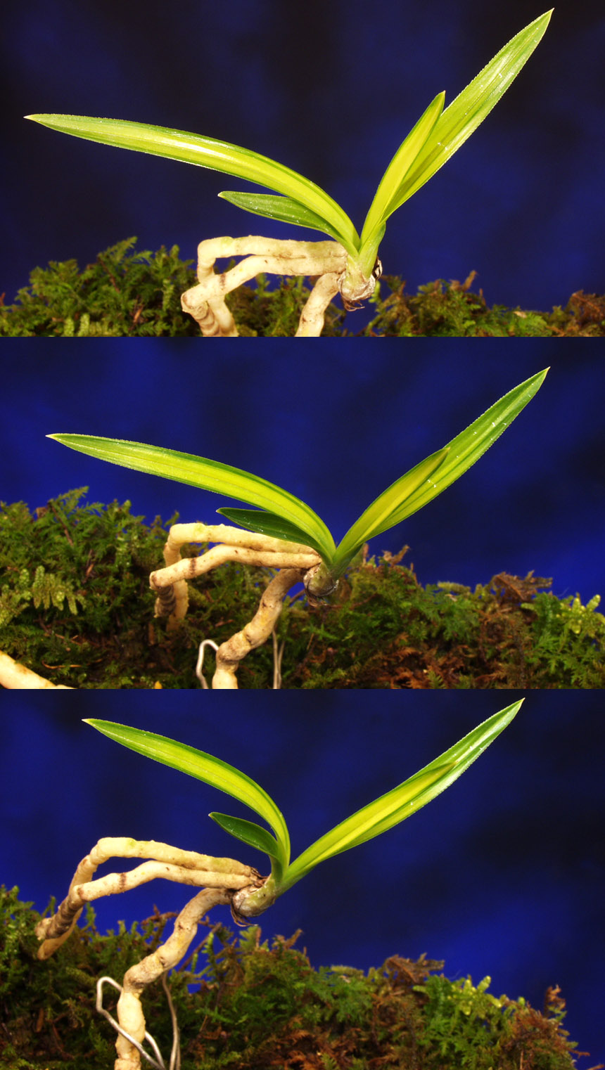 ������ ū������ �� �� �ֽ��ϴ�.